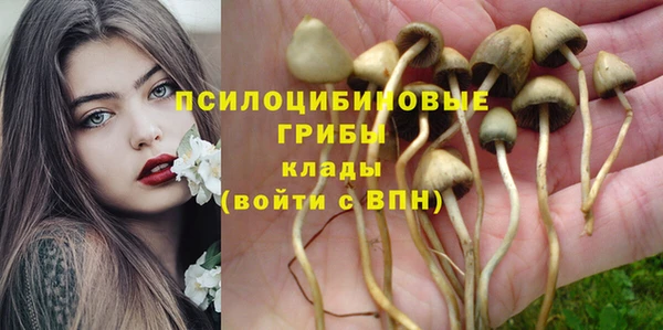 spice Медногорск
