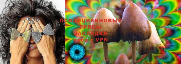 спиды Мегион