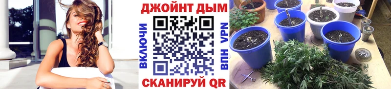 Конопля LSD WEED  наркошоп  Шимановск 
